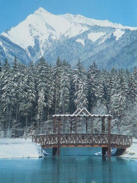 Samoens Studio 외부 사진